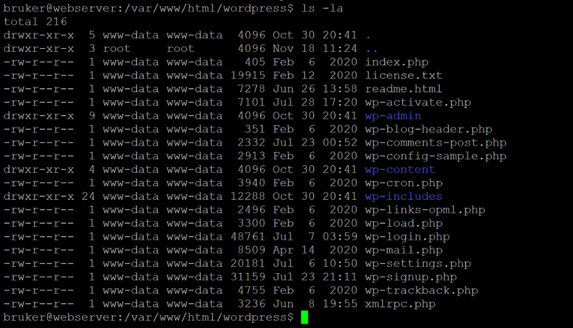 OpenSSH, sicurezza informatica, enumerazione utenti, aggiornamento software